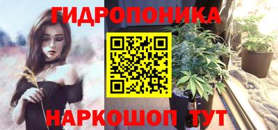 PSILOCYBIN Пугачёв